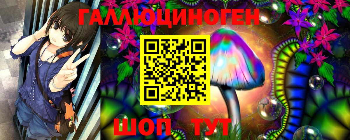 Гатчина  Галлюциногенные грибы Magic Shrooms  Вход с VPN  Галлюциногенные грибы Psilocybe 